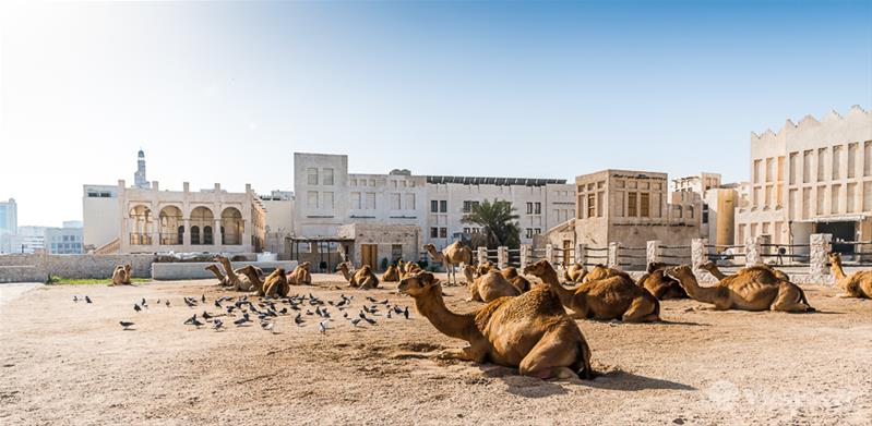 KHÁM PHÁ DOHA (Ăn ba bữa)  